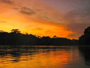 sunset in the Amazon jungle