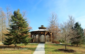 wpid-photo-20150519080132329