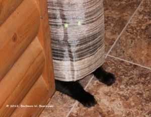 wpid-2015-07-27-bw-beacham